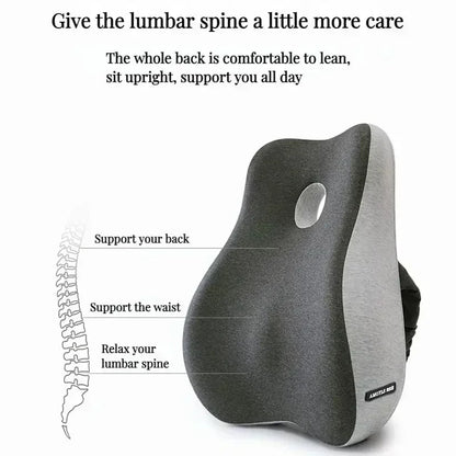 ProAligner™ Memory Foam Lumbar Pillow 